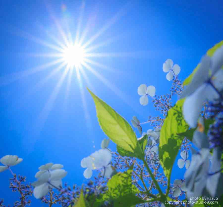 f:id:sts-0128:20180120093736j:plain