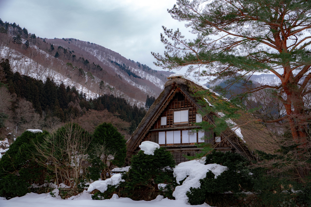 f:id:stsh6998:20190301020926j:plain