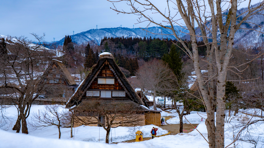 f:id:stsh6998:20190301021416j:plain