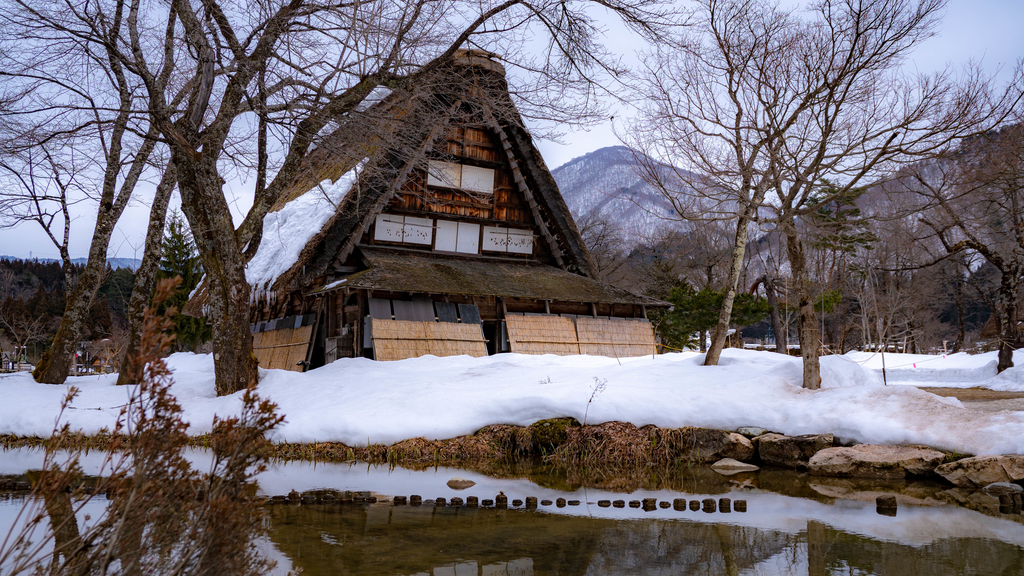 f:id:stsh6998:20190301021713j:plain