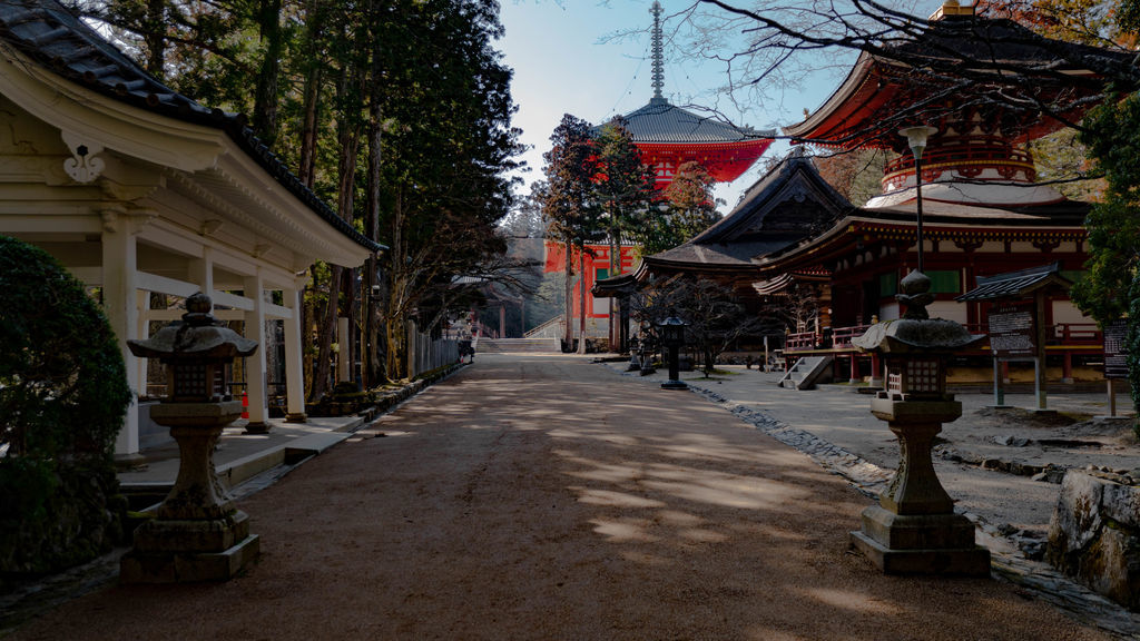 f:id:stsh6998:20190311011425j:plain