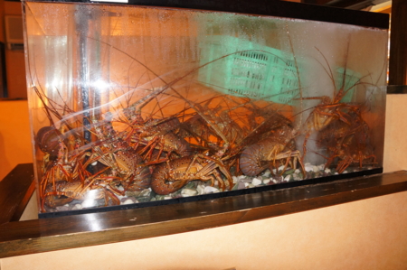 f:id:stsuno1122:20120814161810j:image