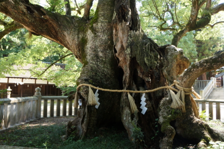 f:id:stsuno1122:20120905231121j:image:w360