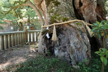 f:id:stsuno1122:20120905231122j:image:w360 f:id:stsuno1122:20120905231122j:image:w360