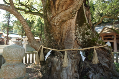 f:id:stsuno1122:20120905231123j:image:w360