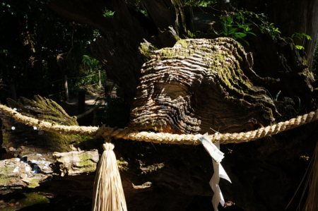 f:id:stsuno1122:20120905231903j:image:w360 f:id:stsuno1122:20120905231903j:image:w360