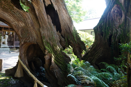 f:id:stsuno1122:20120905231904j:image:w360