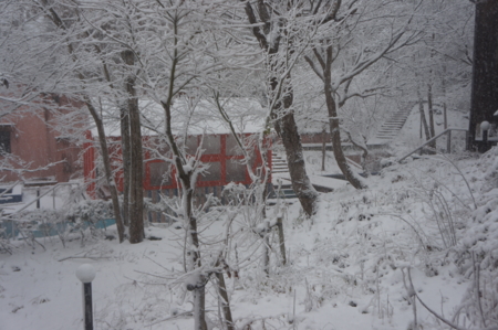 f:id:stsuno1122:20121209233000j:image:w640