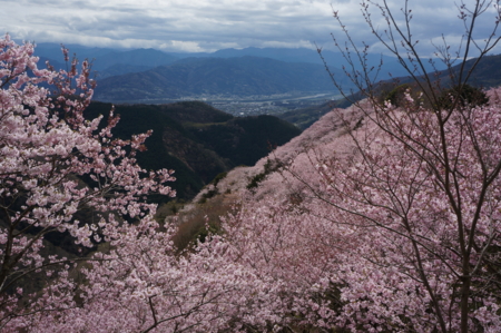 f:id:stsuno1122:20160405233010j:image