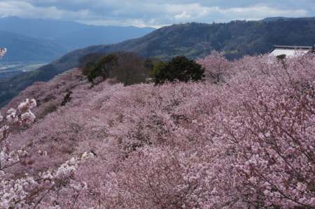 f:id:stsuno1122:20160405233012j:image