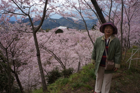 f:id:stsuno1122:20160405233013j:image