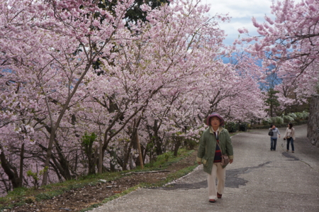 f:id:stsuno1122:20160405233018j:image