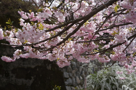 f:id:stsuno1122:20160405233019j:image