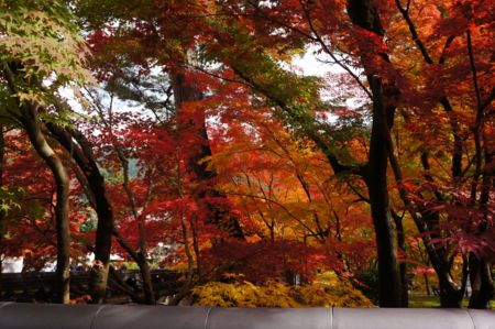 f:id:stsuno1122:20161121113659j:image