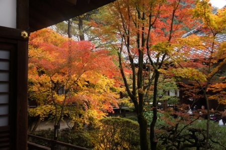 f:id:stsuno1122:20161121114224j:image