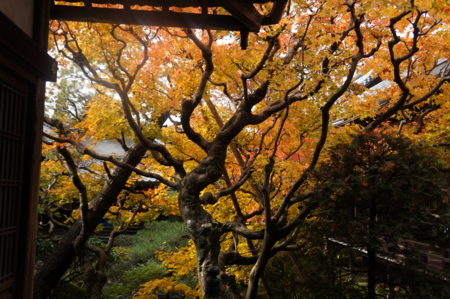 f:id:stsuno1122:20161123144708j:image