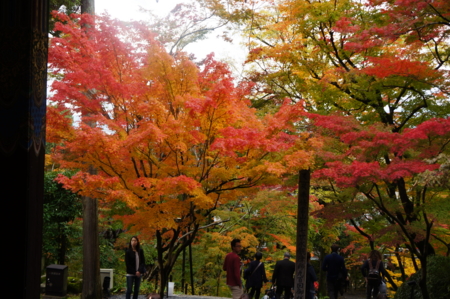 f:id:stsuno1122:20161123145430j:image