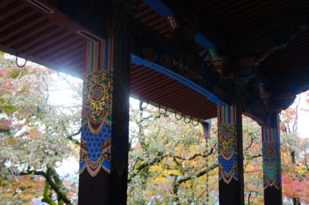 f:id:stsuno1122:20161123145431j:image