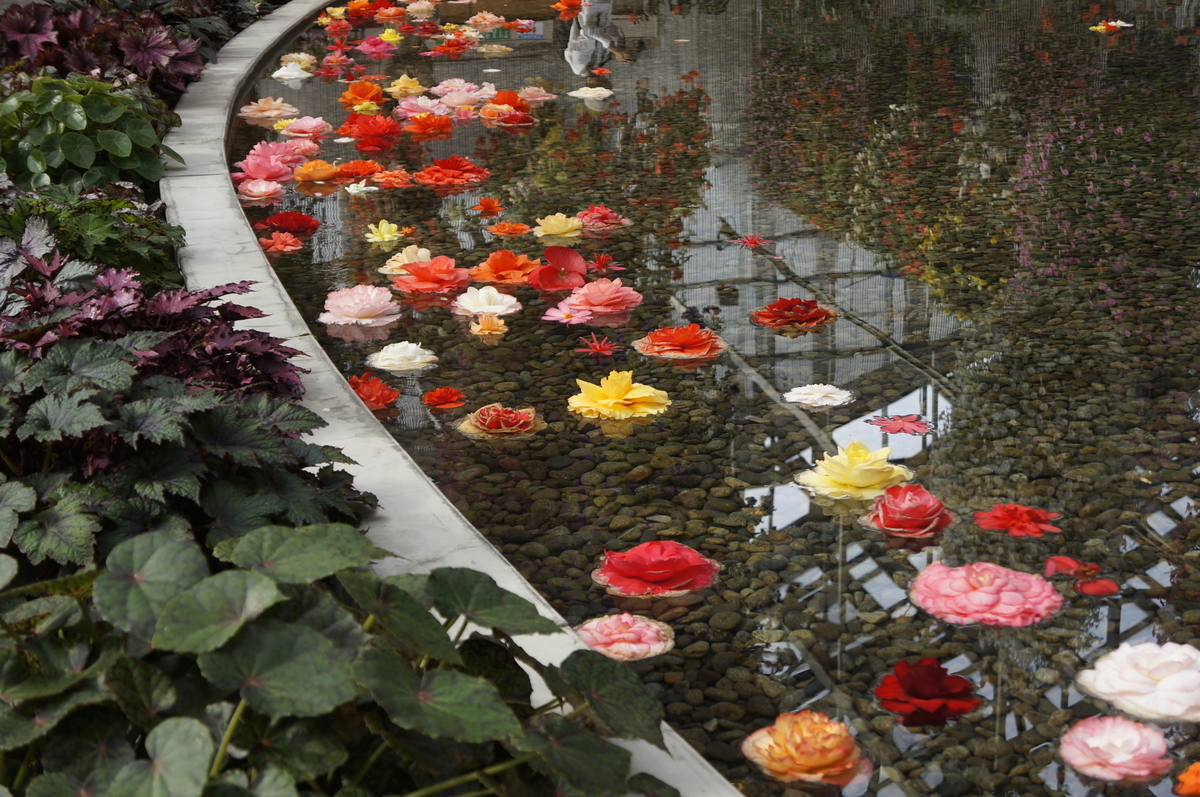 f:id:stsuno1122:20190416220926j:plain