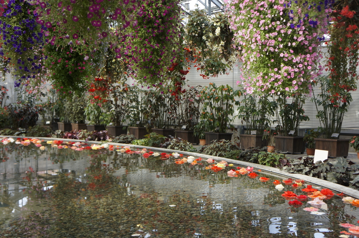 f:id:stsuno1122:20190416221027j:plain