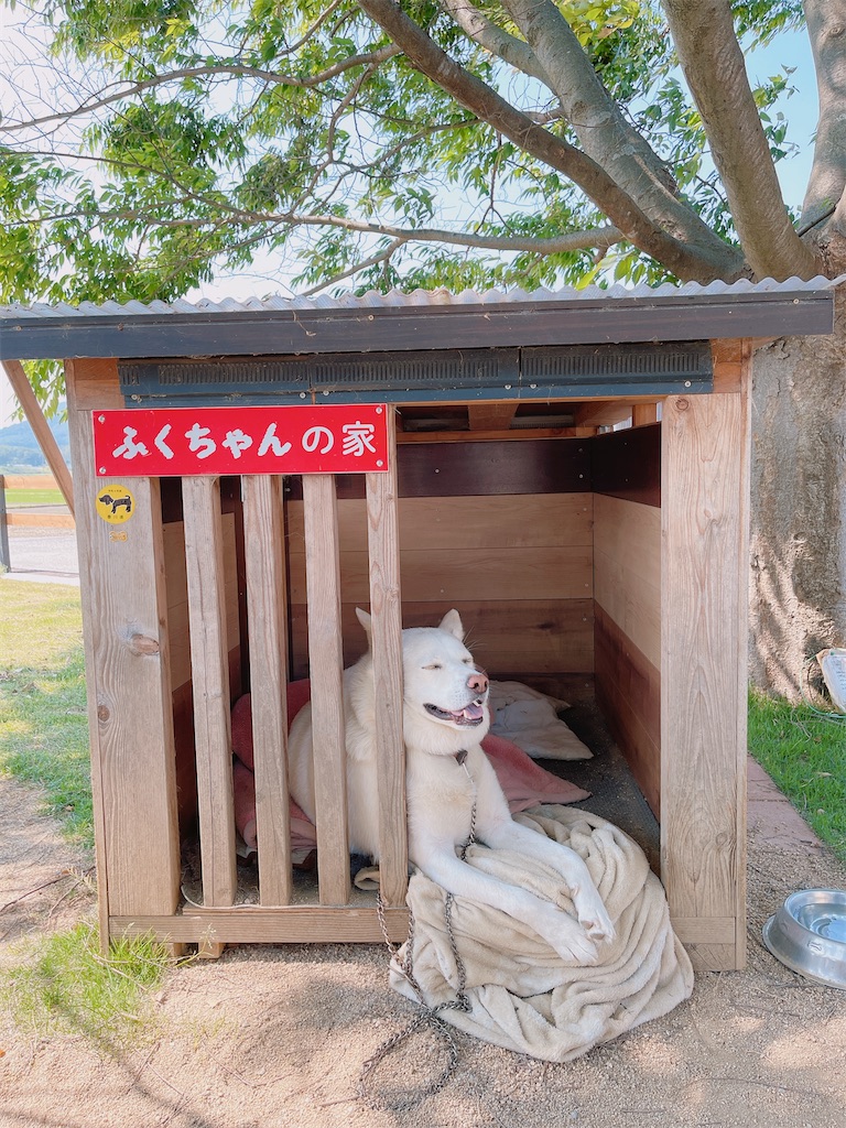 f:id:sttttt:20230122181855j:image