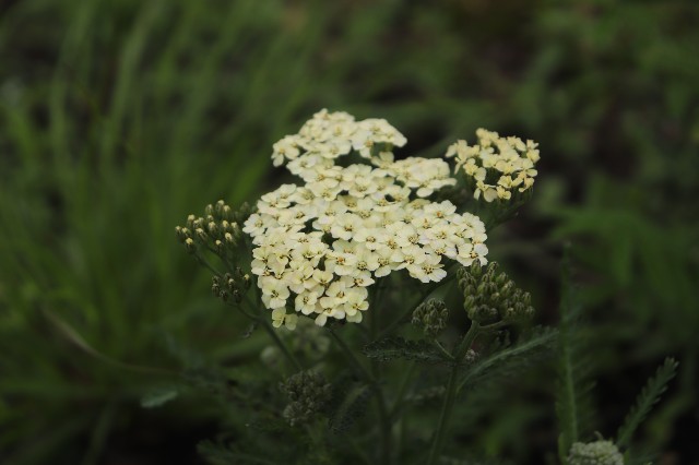 f:id:studio24m:20220620174224j:image