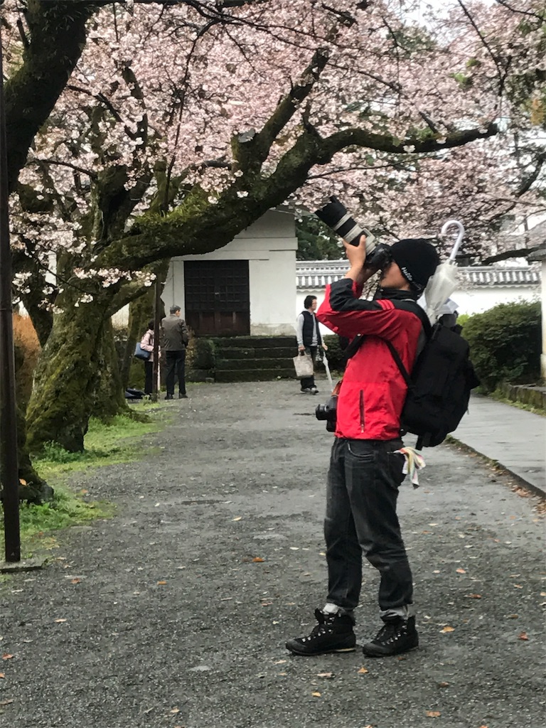 f:id:studio_pikake:20170522173518j:image