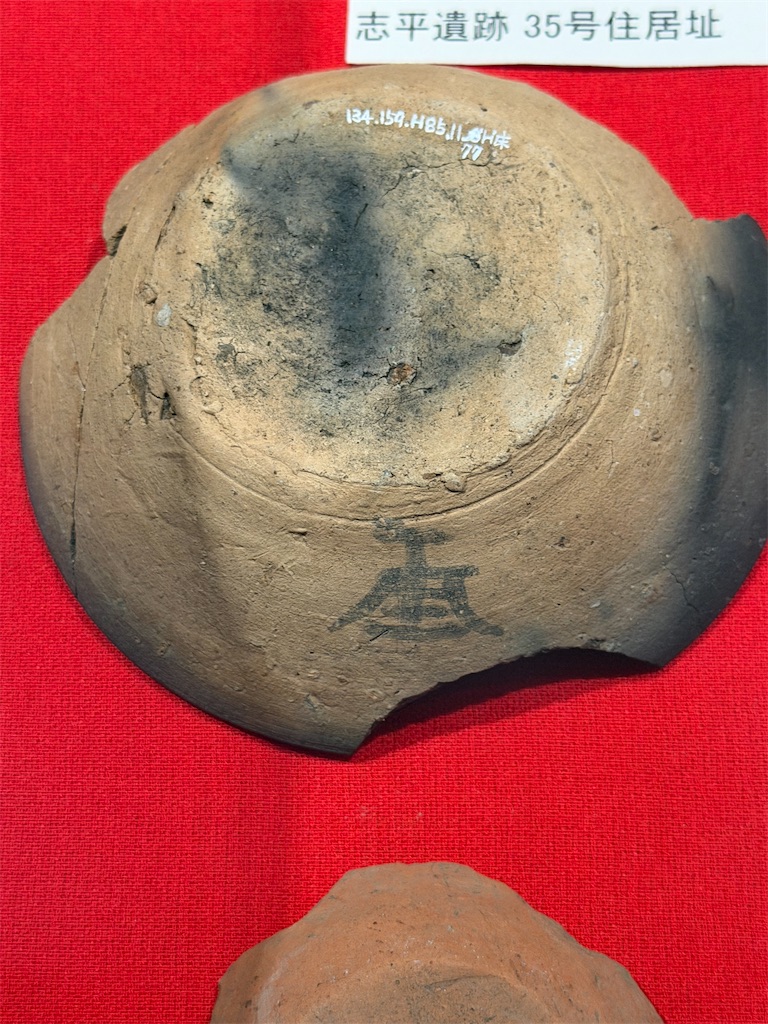 f:id:studio_stoneage:20260808110158j:image