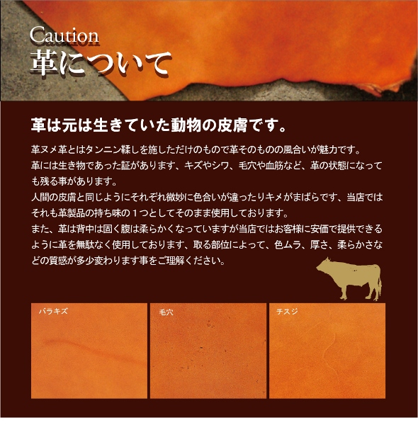 イメージ 7