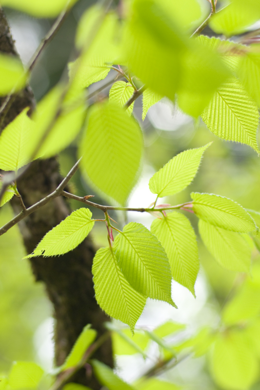 f:id:studiomore:20120430140024j:image