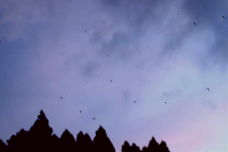 f:id:studiomore:20120507111113j:image