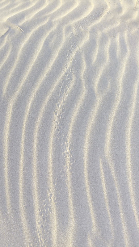 f:id:studiomore:20121012153605j:image