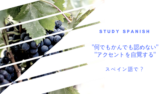 何でもかんでも認めるのはむずかしい アクセントを自覚する をスペイン語で何という Study Spanish 何でもかんでも認めるのはむずかしい アクセントを自覚する をスペイン語で何という Study Spanish