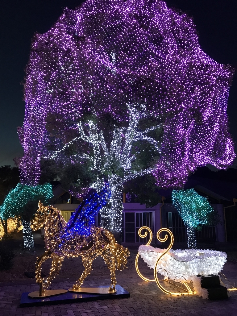 f:id:studyat:20181217225225j:plain f:id:studyat:20181217225225j:plain
