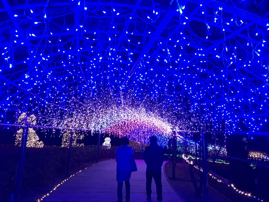 f:id:studyat:20181217230322j:plain f:id:studyat:20181217230322j:plain