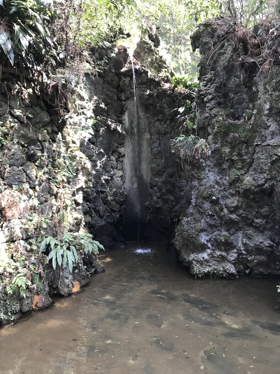 f:id:studyat:20190407155513j:plain f:id:studyat:20190407155513j:plain