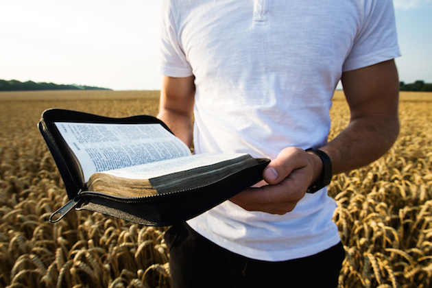 Man holding open Bible in a wheat field