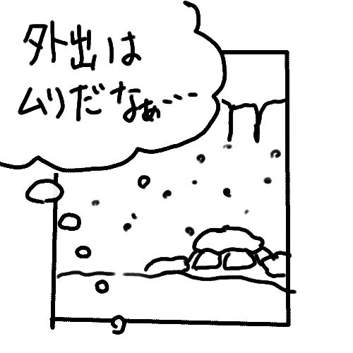 外出はムリだなぁ…