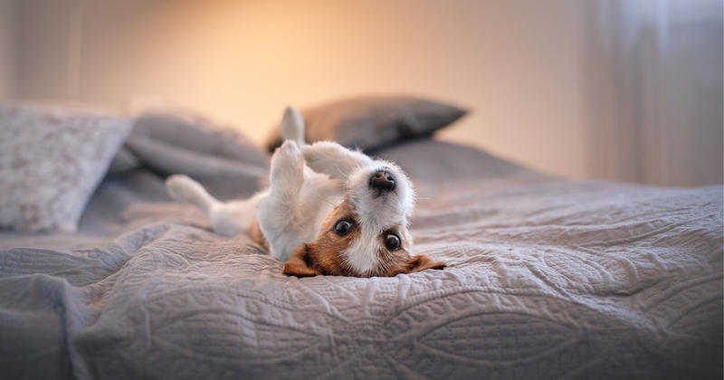 夜にダラダラすべき理由04