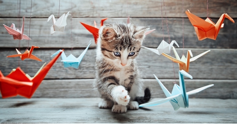 animal-pet-efficacy-02