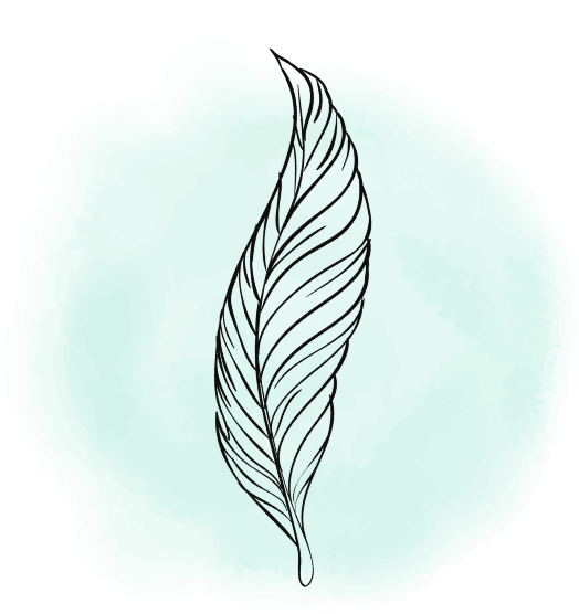 福岡大学 英語 過去問＋全解説（2026）経済学部 福岡大学 2019年版 過去