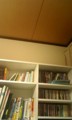 20100515014715