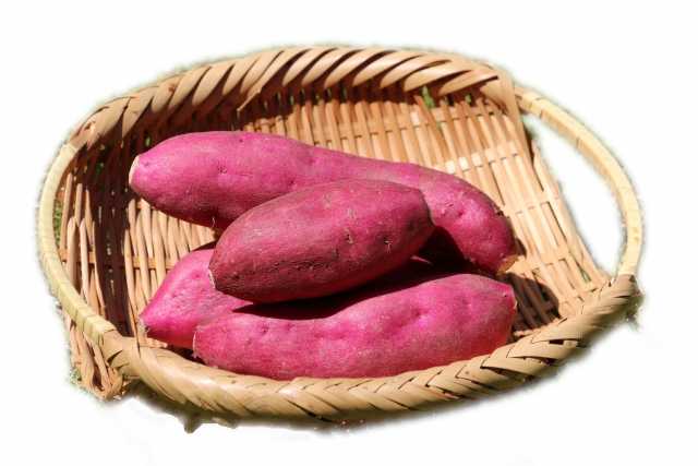 ドンキホーテの焼き芋のカロリーって 甘い理由や賞味期限 買い方まで徹底解説 お役立ち情報サーチ ドンキホーテの焼き芋のカロリーって 甘い理由や賞味期限 買い方まで徹底解説 お役立ち情報サーチ