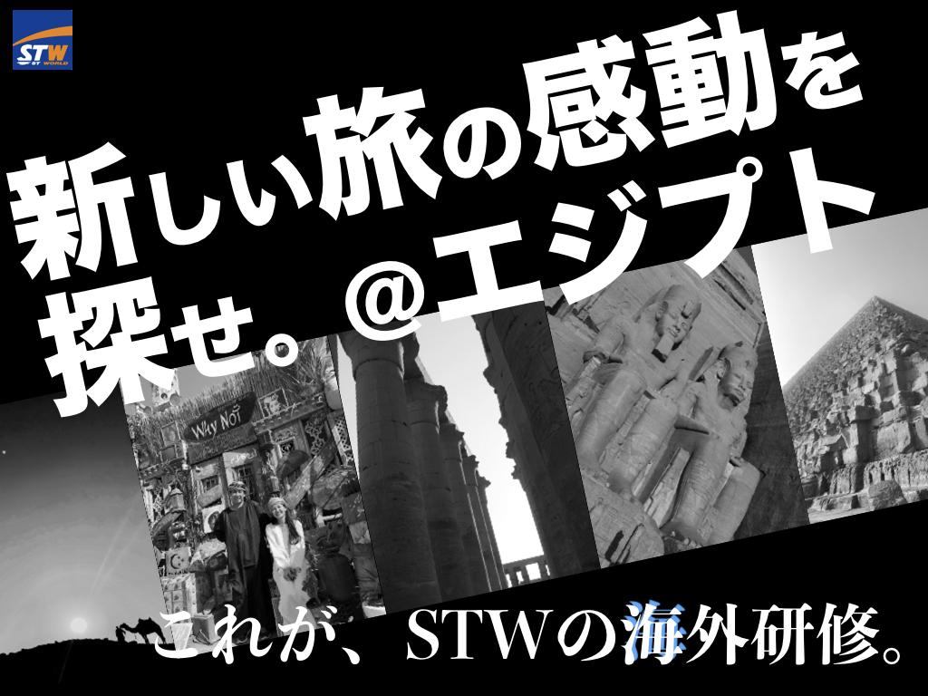 f:id:stworldblog:20171225165546j:plain