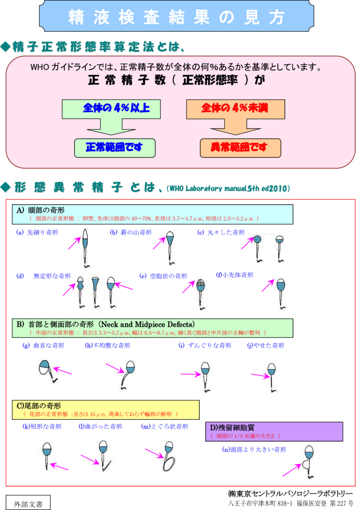 f:id:styleaboutp:20180724050006j:plain f:id:styleaboutp:20180724050006j:plain