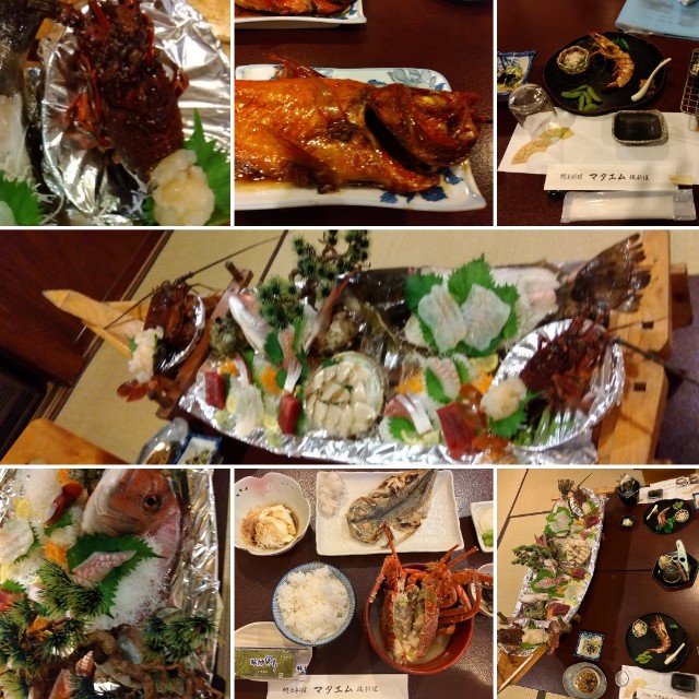 f:id:su2mi:20250607141651j:image