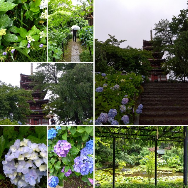 f:id:su2mi:20250615110355j:image
