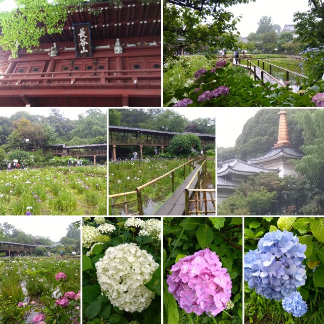 f:id:su2mi:20250615110409j:image