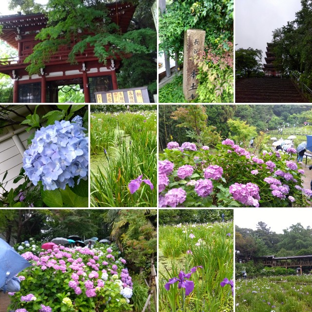f:id:su2mi:20250615110415j:image