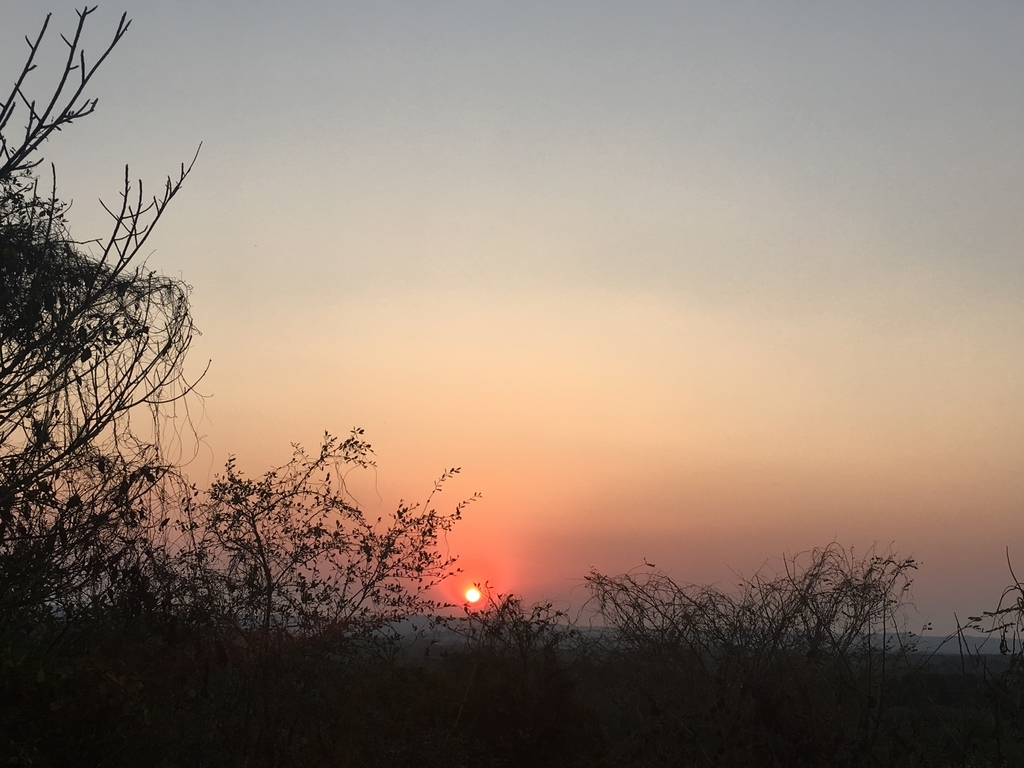 f:id:su2uqui:20190109200714j:plain
